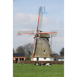 Noordsleen - Albertdina 01